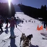 Chalet At - An Affordable Village For Families Or Groups Pamporovo