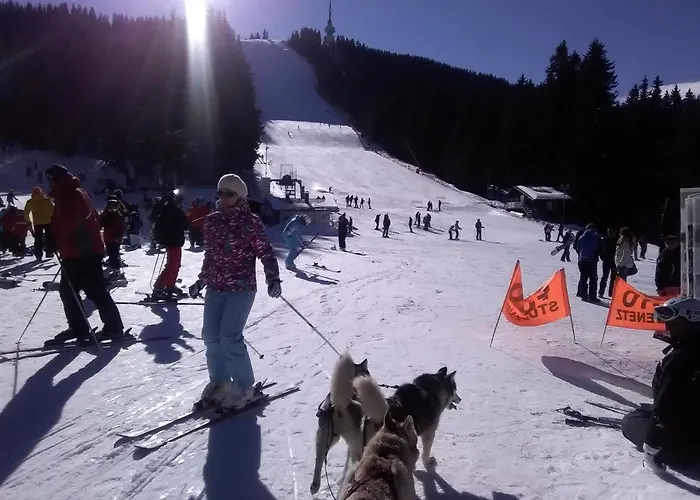 Chalet At - An Affordable Village For Families Or Groups Pamporovo